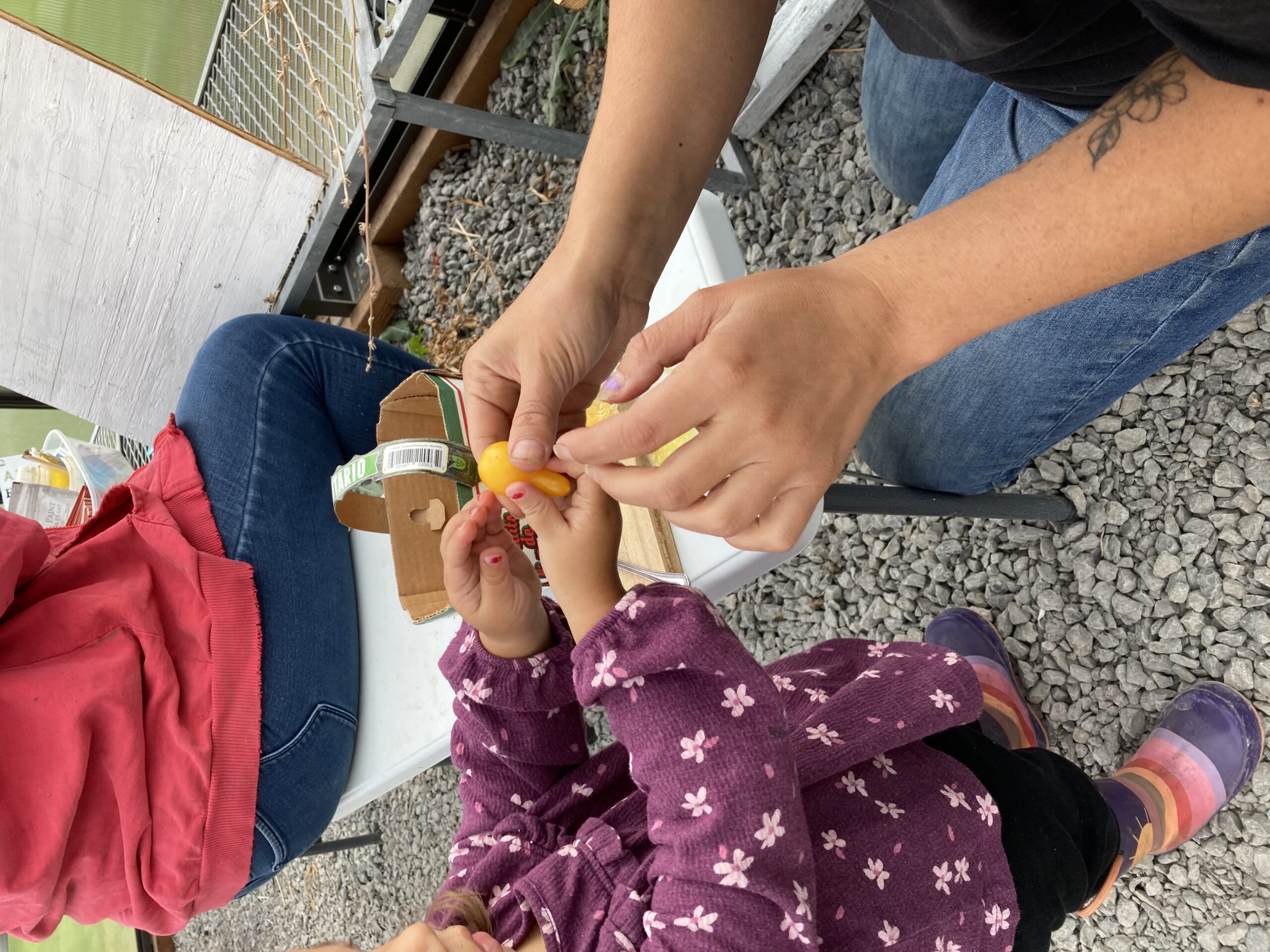 Sanctuaire de semences et centre d’apprentissage de Kenhtè:ke